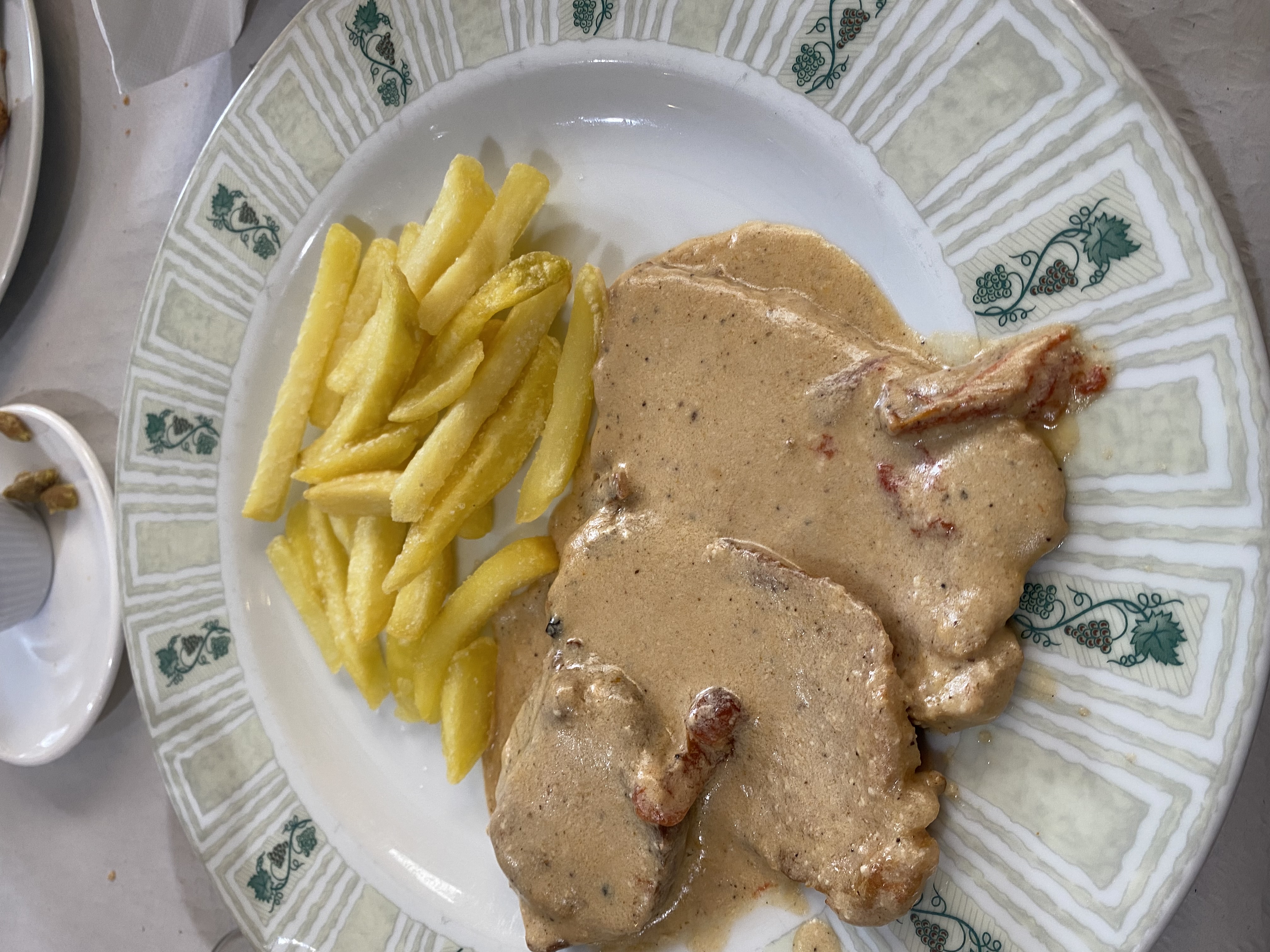 chicken filet with salsa and fries